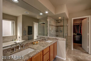 4207 E Taro Ln, Phoenix, AZ 85050 photo 29