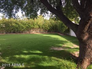 3217 N 41st Pl, Phoenix, AZ 85018 photo 9