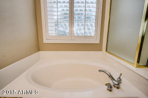 9529 E Natal Ave, Mesa, AZ 85209 photo 33
