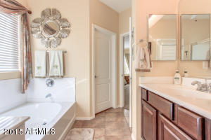 3293 E Fandango Dr, Gilbert, AZ 85298 photo 26