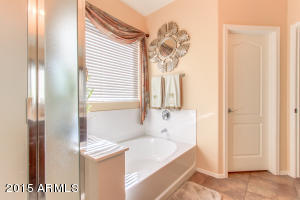 3293 E Fandango Dr, Gilbert, AZ 85298 photo 42