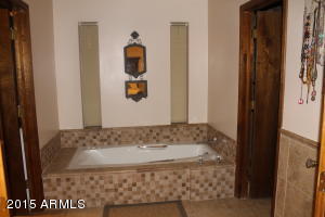 4022 E Garnet Cir, Mesa, AZ 85206 photo 46