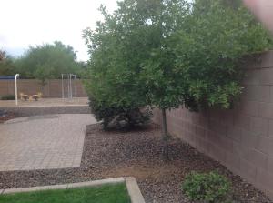 1366 E Arrowhead Trl, Gilbert, AZ 85297 photo 37