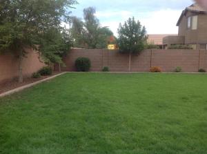 1366 E Arrowhead Trl, Gilbert, AZ 85297 photo 36