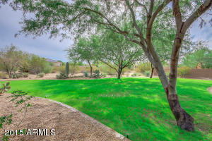 3534 E Robin Ln, Phoenix, AZ 85050 photo 64