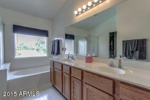 7266 E Nido Ave, Mesa, AZ 85209 photo 9