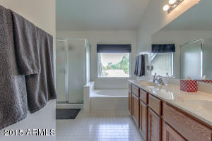 7266 E Nido Ave, Mesa, AZ 85209 photo 36