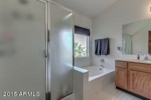 7266 E Nido Ave, Mesa, AZ 85209 photo 37
