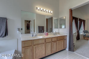 7266 E Nido Ave, Mesa, AZ 85209 photo 39