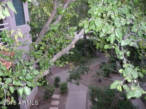 3633 N 3rd Ave #2065, Phoenix, AZ 85013 photo 22