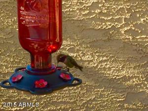 5345 E Mclellan Rd #84, Mesa, AZ 85205 photo 31