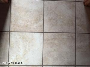 446 S 82nd Pl, Mesa, AZ 85208 photo 11