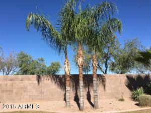 10450 E Olla Ave, Mesa, AZ 85212 photo 4