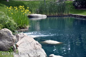 4488 E Thomas Rd #3027, Phoenix, AZ 85018 photo 24