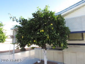 7750 E Broadway Rd E #132, Mesa, AZ 85208 photo 2