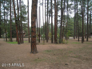 963 W Johnson Blvd, Payson, AZ 85541 photo 20
