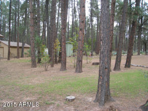 963 W Johnson Blvd, Payson, AZ 85541 photo 26