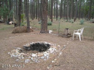 963 W Johnson Blvd, Payson, AZ 85541 photo 19