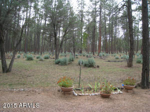 963 W Johnson Blvd, Payson, AZ 85541 photo 18