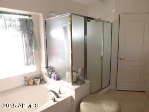 9814 E Pantera Ave, Mesa, AZ 85212 photo 15