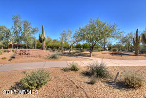 3654 E Crest Ln, Phoenix, AZ 85050 photo 49