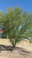 5921 Ellis St, Mesa, AZ 85205 photo 19