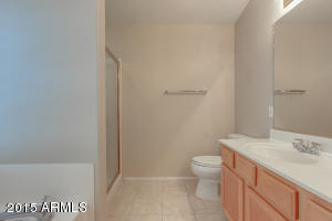 9616 E Nido Ave, Mesa, AZ 85209 photo 26