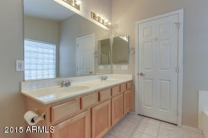 9616 E Nido Ave, Mesa, AZ 85209 photo 28