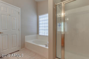 9616 E Nido Ave, Mesa, AZ 85209 photo 30
