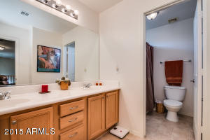 1222 E Macaw Dr, Gilbert, AZ 85297 photo 45