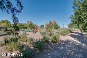 1222 E Macaw Dr, Gilbert, AZ 85297 photo 66