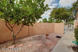 3510 E Hampton Ave #24, Mesa, AZ 85204 photo 5
