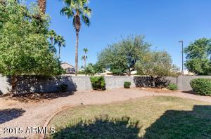 7438 E Nido Ave, Mesa, AZ 85209 photo 18