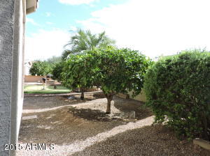 4665 E Mia Ln, Gilbert, AZ 85298 photo 69
