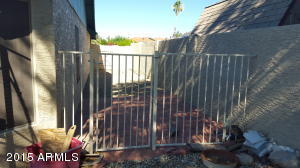 6503 E Indigo St, Mesa, AZ 85205 photo 31