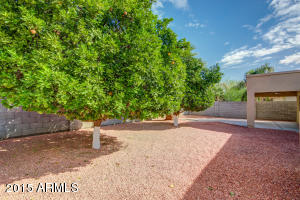 3870 E Redfield Ct, Gilbert, AZ 85234 photo 27