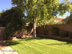 2209 E Cathedral Rock Dr, Phoenix, AZ 85048 photo 11
