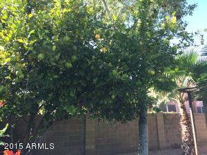 2209 E Cathedral Rock Dr, Phoenix, AZ 85048 photo 10