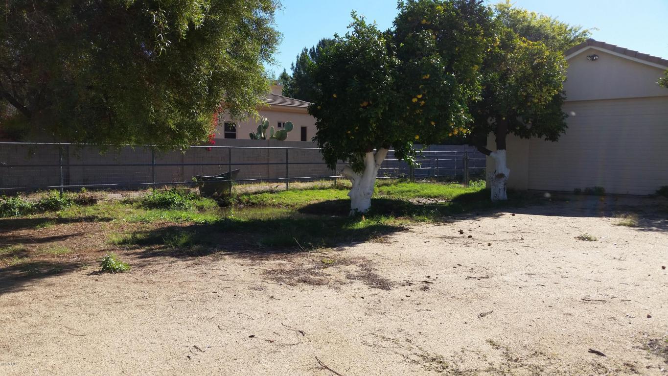 3737 E Palm St, Mesa, AZ 85215 photo 18