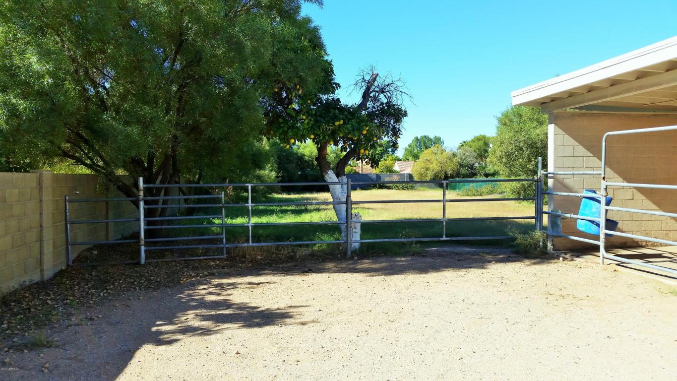 3737 E Palm St, Mesa, AZ 85215 photo 23