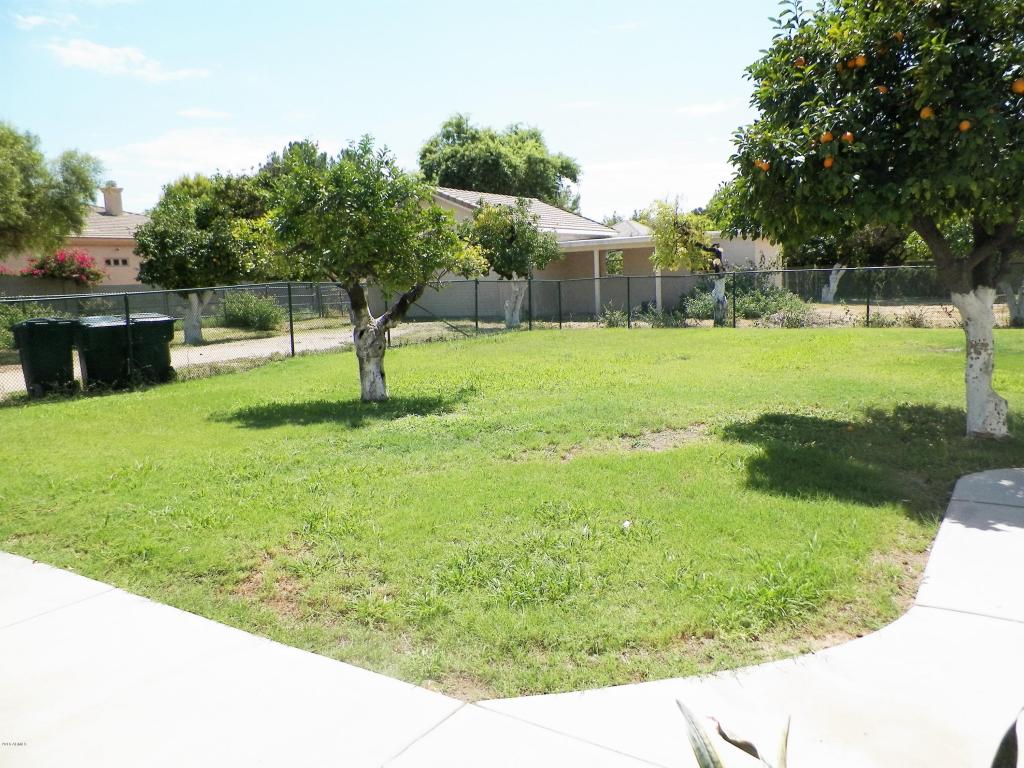 3737 E Palm St, Mesa, AZ 85215 photo 33