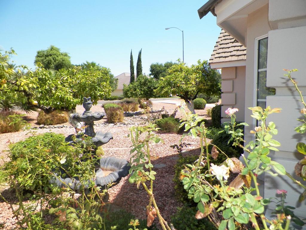 3737 E Palm St, Mesa, AZ 85215 photo 10
