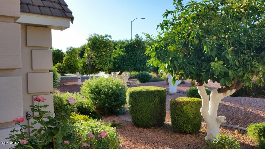 3737 E Palm St, Mesa, AZ 85215 photo 8