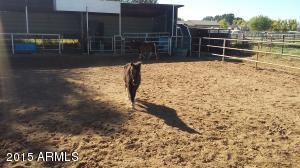 16249 E Frye Rd, Gilbert, AZ 85295 photo 18