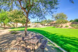 720 S Jacob St, Gilbert, AZ 85296 photo 1