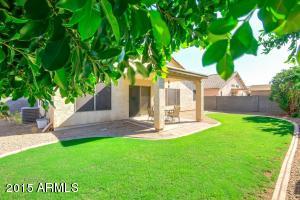 720 S Jacob St, Gilbert, AZ 85296 photo 6