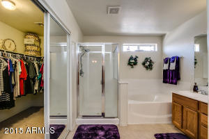 8732 E Kilarea Ave, Mesa, AZ 85209 photo 47