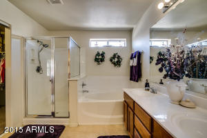 8732 E Kilarea Ave, Mesa, AZ 85209 photo 53