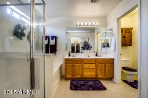 8732 E Kilarea Ave, Mesa, AZ 85209 photo 51