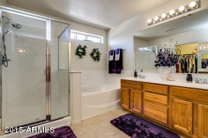 8732 E Kilarea Ave, Mesa, AZ 85209 photo 50